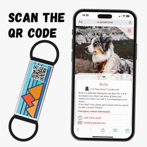 Yüksek kalite su geçirmez silikon köpek adı etiketi özel anti-kayıp Qr kodu evcil hayvanlar için moda stil hayvan desen kişiselleştirilmiş dantel