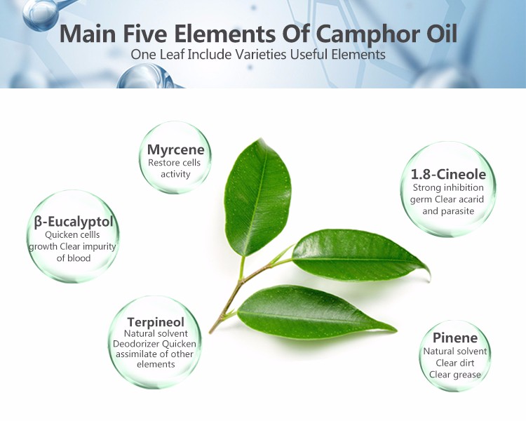 Huile essentielle d'eucalyptus biologique naturelle pure à 100 % pour revitaliser la peau 1