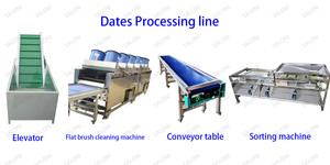 Buone prestazioni data prugna selezionatrice gradatore date macchina per la vendita - Product Image 5