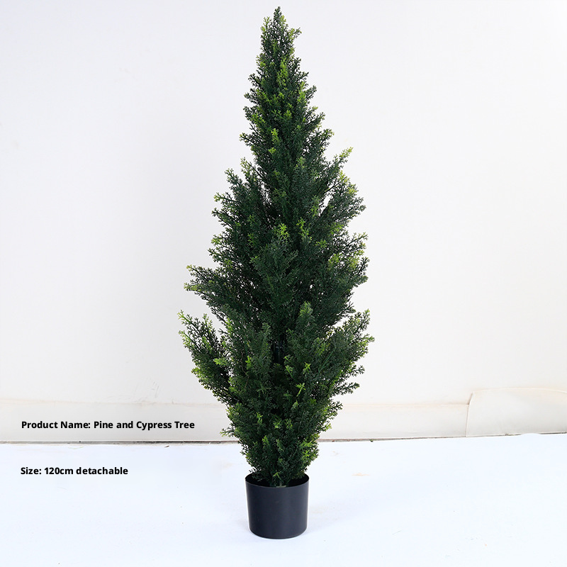 120cm