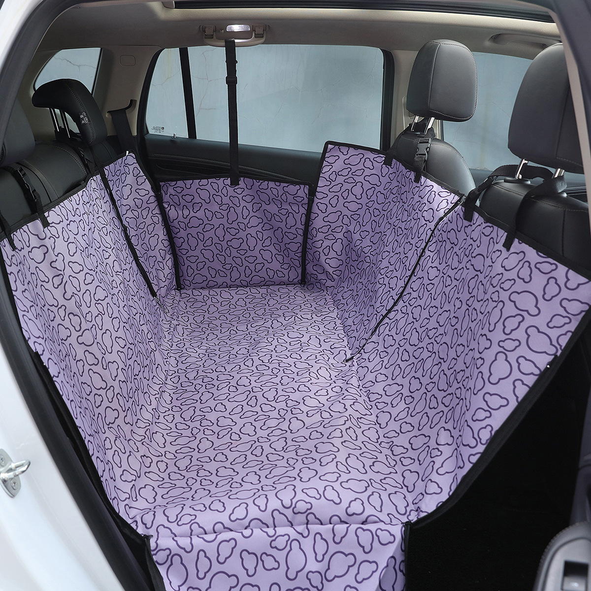 Pourrait Type-Violet
