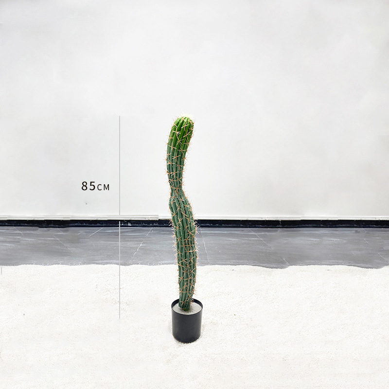85cm