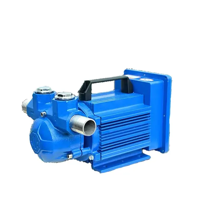 Pompe à essence/diesel 24V/220V de qualité supérieure de fabrication professionnelle de la Chine