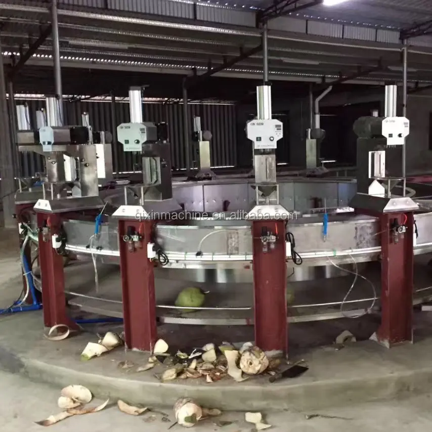Máquina peladora de coco automática transparente para la venta, máquina cortadora de coco, de 2, 1, 2, 1, 2