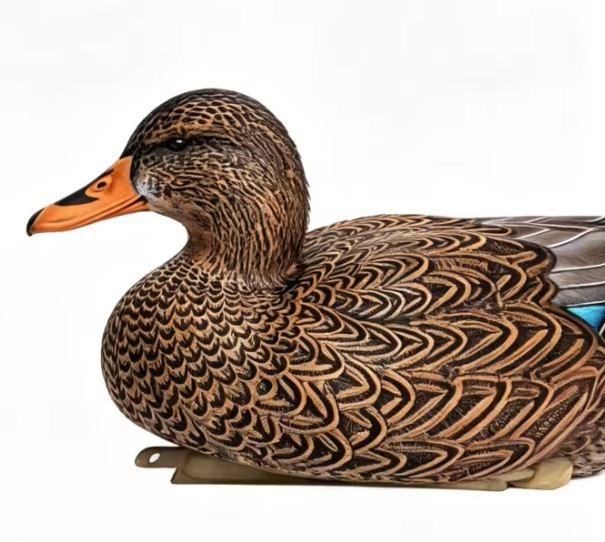 Pato hembra marrón