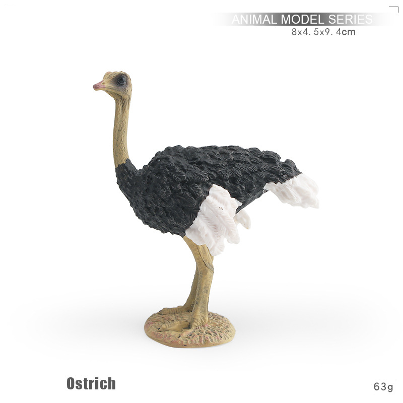 ostrich