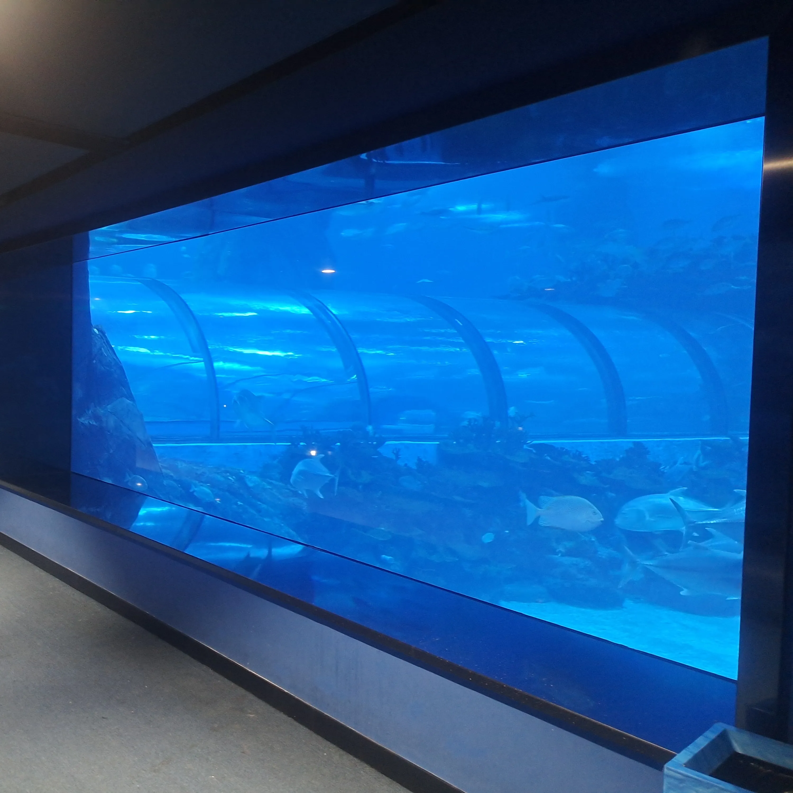 Acuario acrílico grande personalizado, tanque de peces de acuario para proyecto