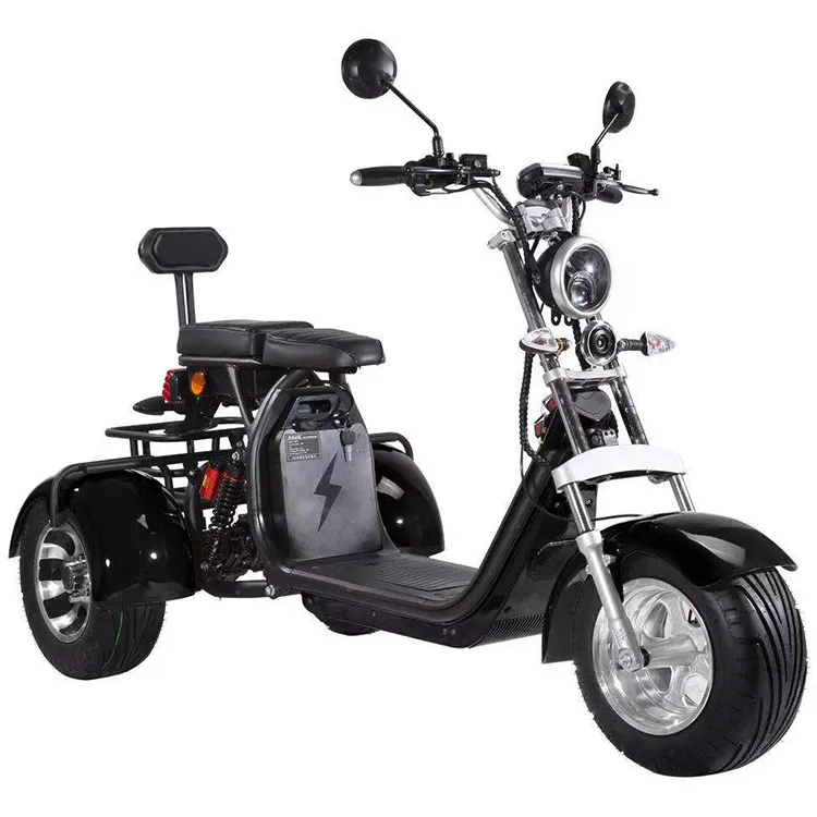 2021 2000w मोटर 20ah/40ah दोहरी बैटरी ईईसी के साथ/COC तिपहिया मोटर साइकिल बिजली