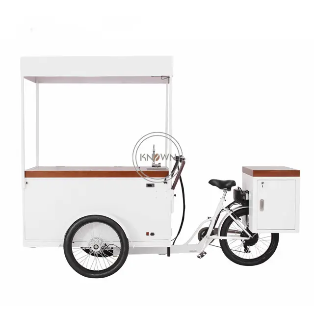 OEM 전기 세발 자전거 맞춤화화물 자전거 거리 상점 간식 판매 Trike 3 륜 커피 카트 공장 가격