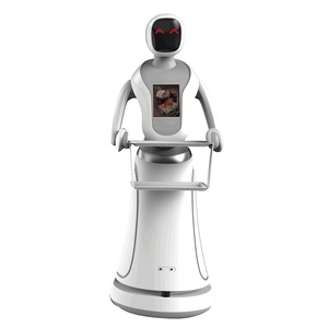 Human Following Chinese Robotic Factory <strong>Program</strong> AI Food <strong>Robot</strong>