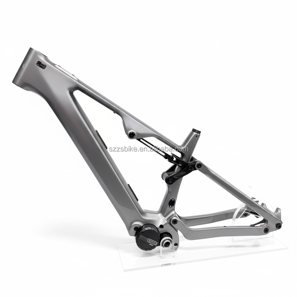 solo cuadro de EBIKE