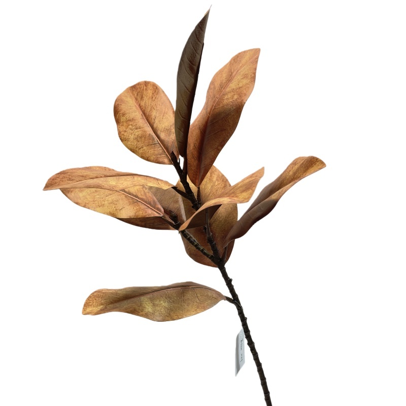 Marrone66CM