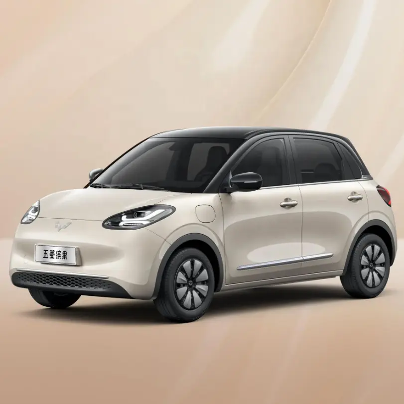 Ev coche wuling Bingo puro eléctrico de larga duración batería nueva energía mini vehículo