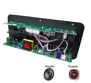 D10-II Home Amplifier 35W Single <strong>Output</strong> with for <strong>Bluetooth</strong> Radio DC12V/24V AC220V USB TF Dual MIC <strong>Input</strong> and Remote Control - Product Image 3