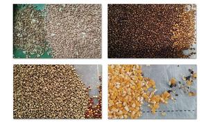 Proveedor de clasificador óptico, clasificador de colores de granos de café, máquina clasificadora de granos de cacao, clasificador de colores de cereza de café - Product Image 3