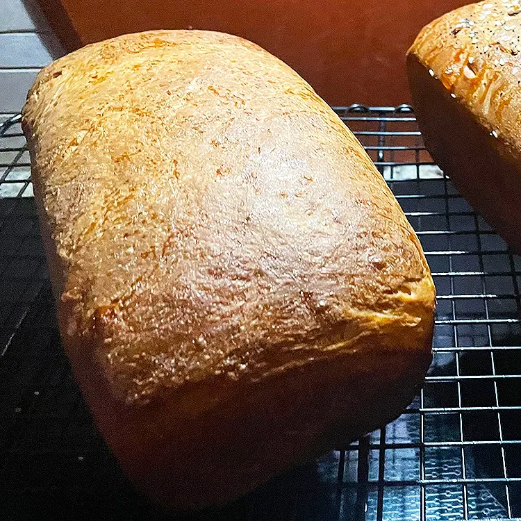 Fique à frente da competição com fermentação de levedura de pão: Ues Nossa Série 500g de fórmula própria de levedura instantânea seca