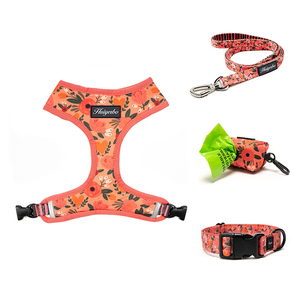 Set Tali Kekang dan Kekang Anjing Bulldog Perancis Jaring Pelangi Yang Dapat Disesuaikan Desain Mode Cetak - Product Image 5