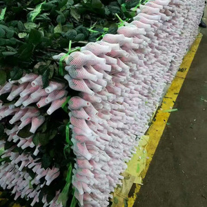 Producción de tecnología Plástico Flor Proteger Polietileno Rosa Red Fabricación Espuma Rosa Red Máquina - Product Image 2
