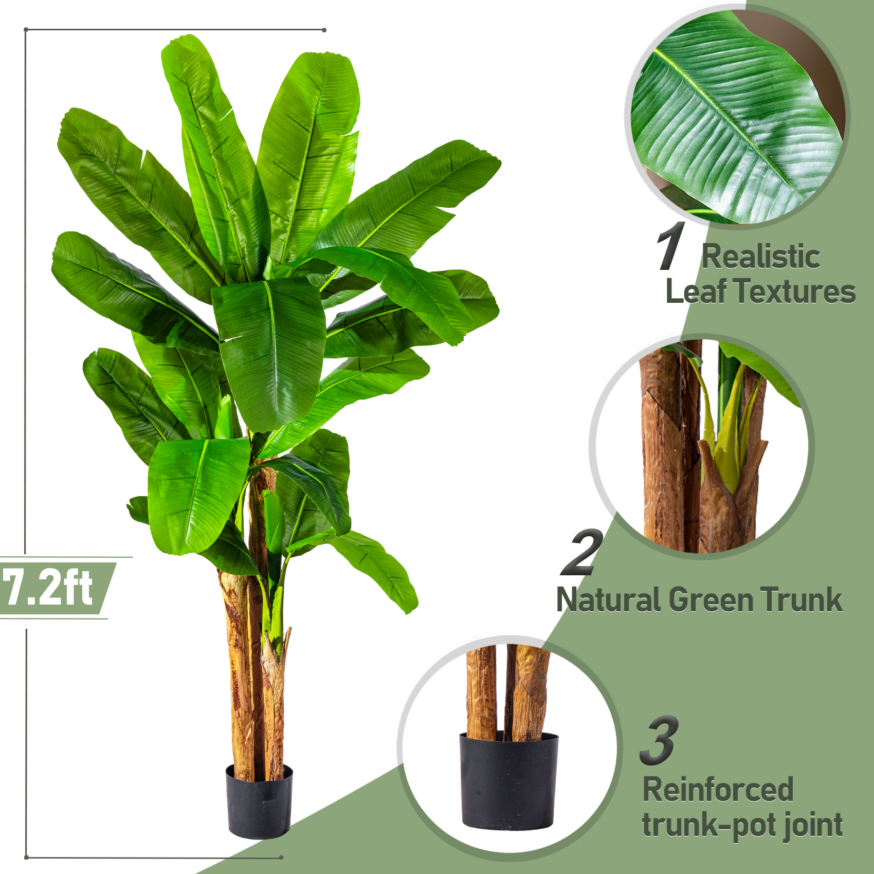 Banana Tree 7.2ft Green