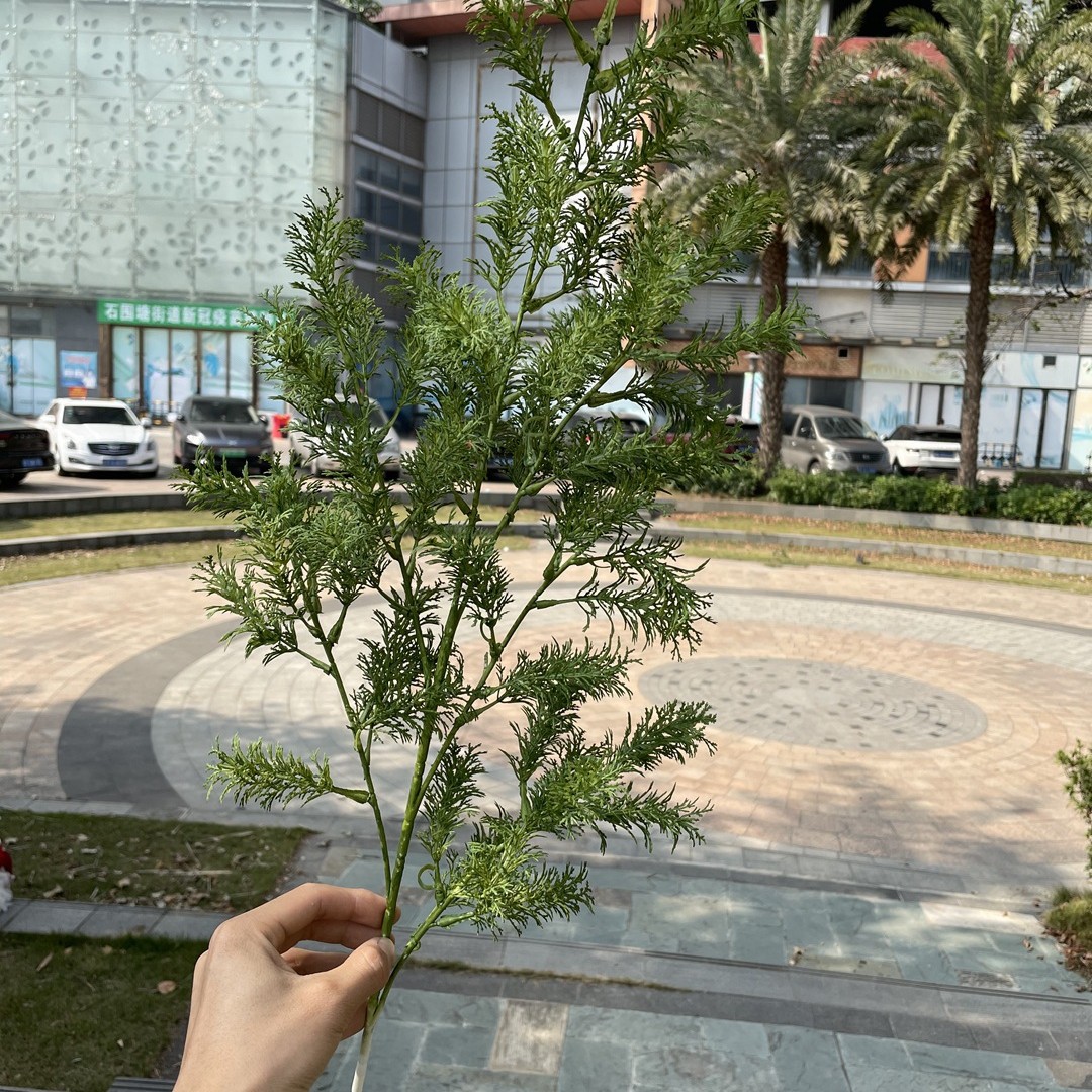 Tagatarpine vert foncé