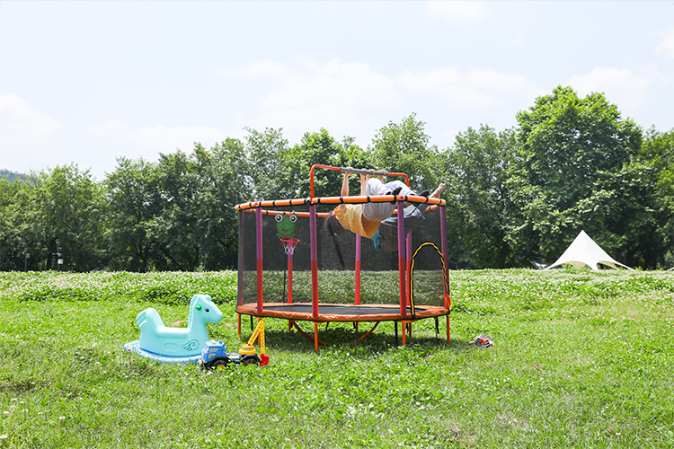 twins trampoline with net
