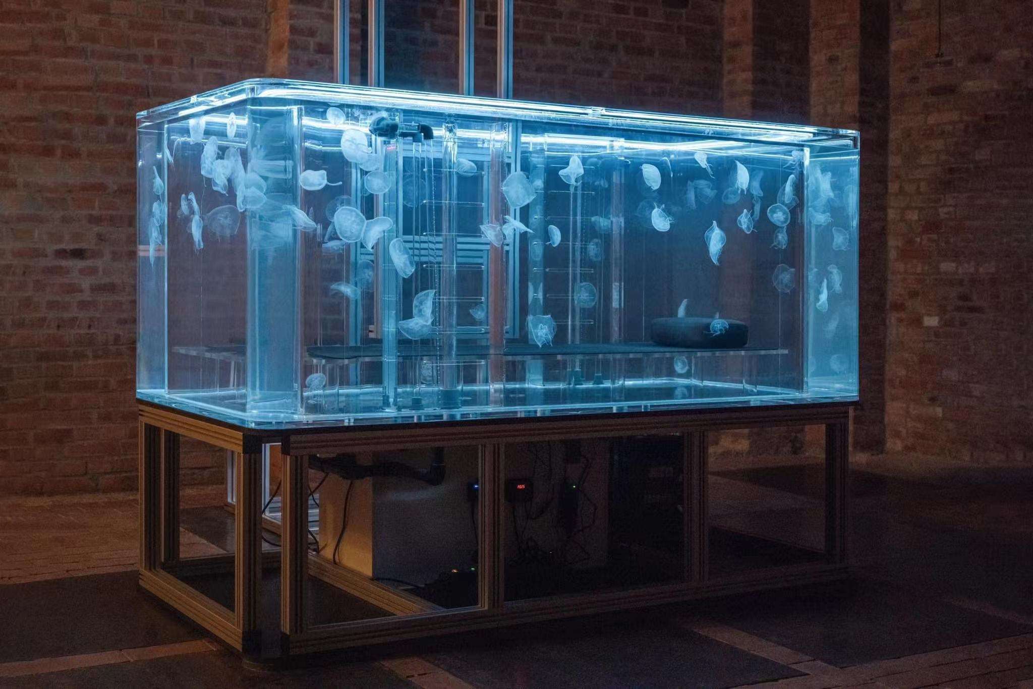 โปร่งใส