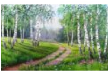 HX50478