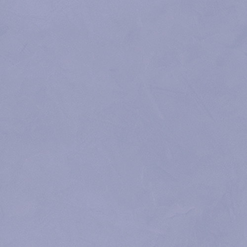 RS-036S