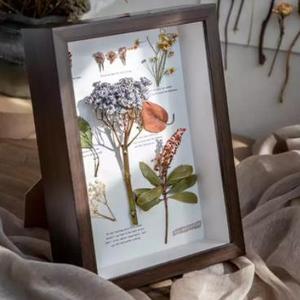Diy Plant Specimen Display square 2 Inch Deep Shadow <strong>Box</strong> Frame White Black 4 Frame Color <strong>10x10</strong> Shadow <strong>Box</strong> Frame - Product Image 3