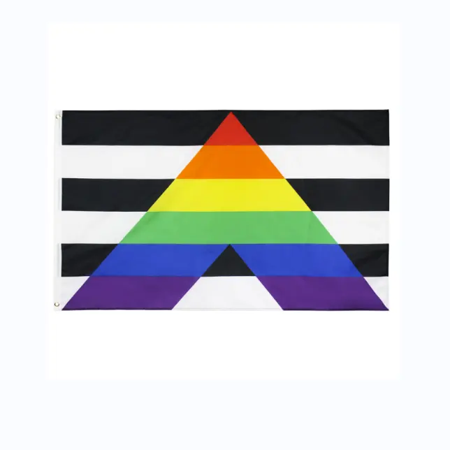 3x5 Ft bisessuale lesbica Anti-ultravioletta Anti-sbiadimento bandiera arcobaleno appesa da parete per interni all'aperto Lgbt orgoglio bandiera pesante