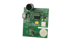 Benutzer definierte Lösung WTK6900M01 Mehrsprachiges Spracher kennung modul V3 Spracherkennungs-IC - Product Image 4
