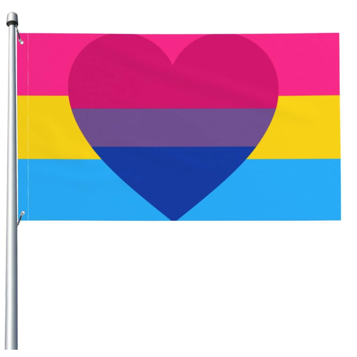 Bi Pansexual Biromantic