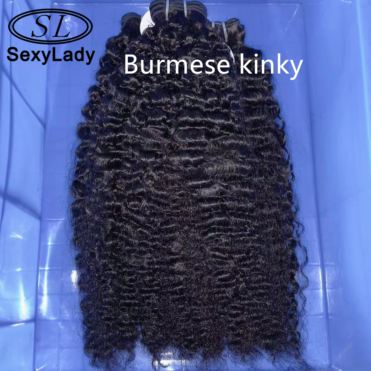 Burmese Kinky