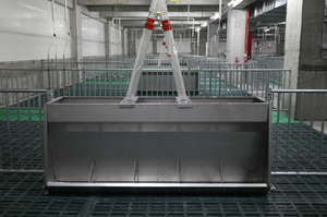 Máng ăn tự động cho lợn và heo con, khe ăn kép bằng vải, thép không gỉ, thiết bị chăn nuôi gia cầm, gia súc - Product Image 2