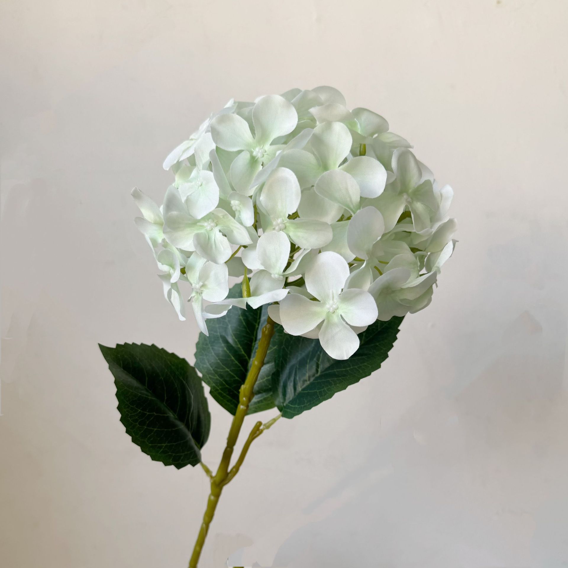 Blanc-vert