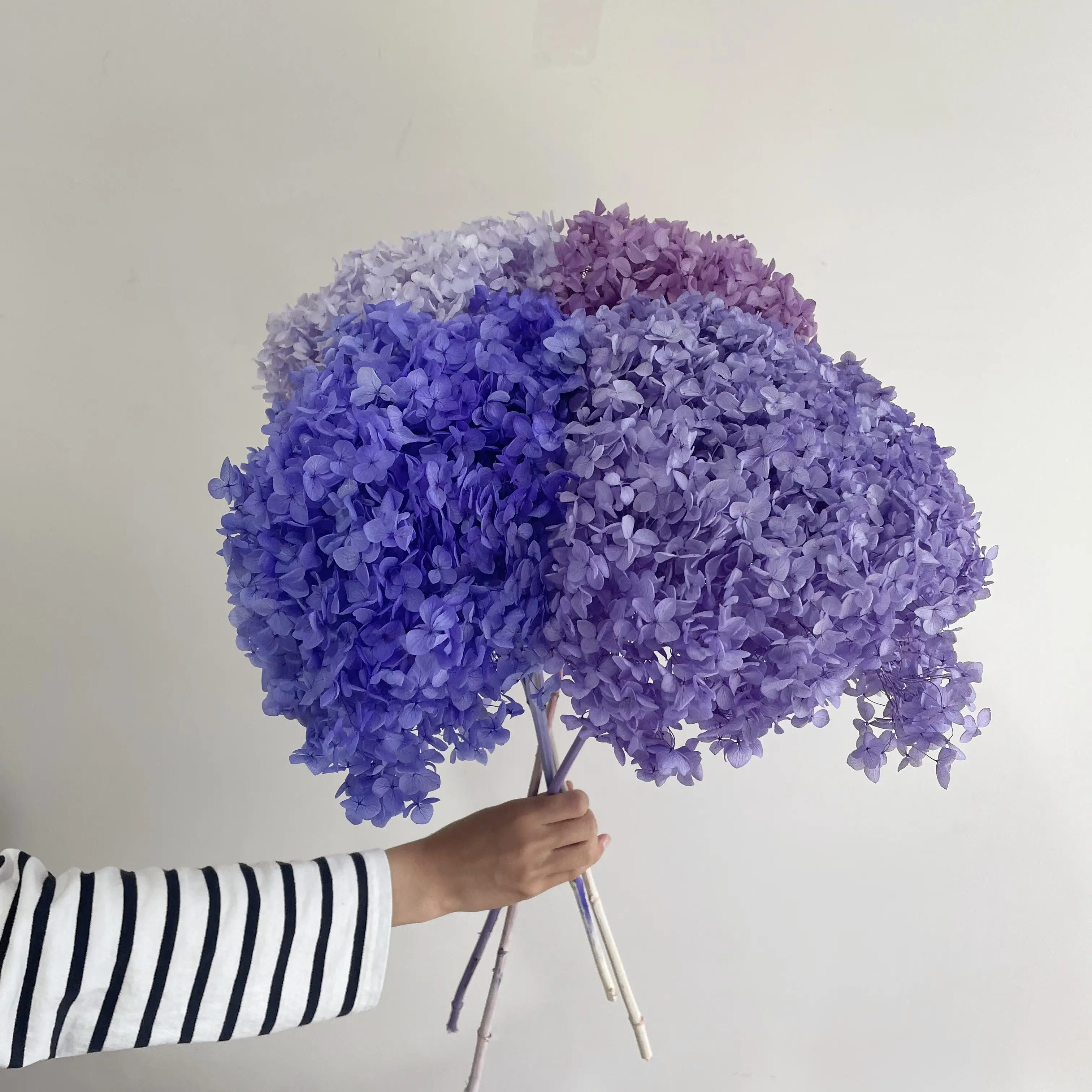 Wholesale Real Touch Dried Flowers Preserved Hydrangea Flowers with Stem for Wedding DecorationPopular
