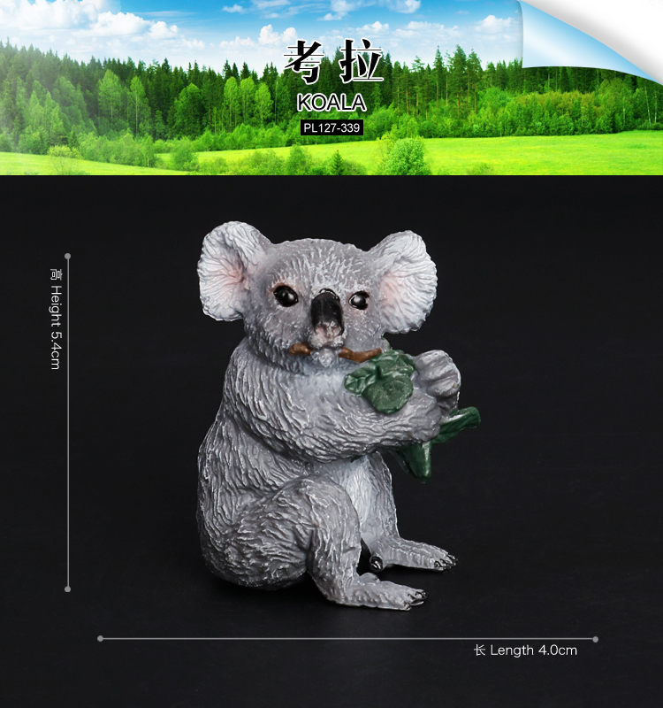 339 Koala mangeant