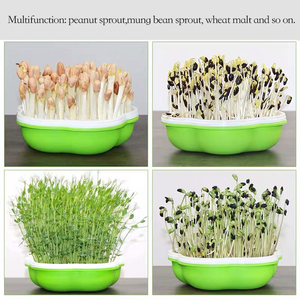 Ev kullanımı için sağlıklı ve çevre tohum hızlı büyüyen PP Microgreen tepsi çiçek şekli - Product Image 6