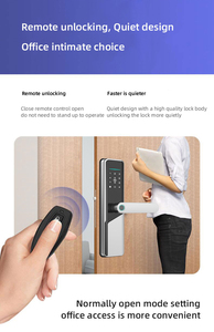 メインドア入口ロックアクセス制御ロック外部スマートデジタルドアセキュリティフロントハンドルTtlock Tuyaキー入力 - Product Image 3