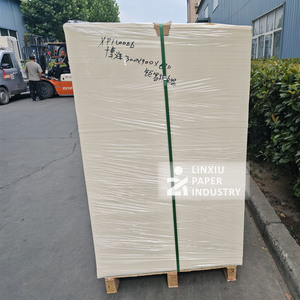 135-350GSM聚乙烯涂层工艺纸胶印低成本纸