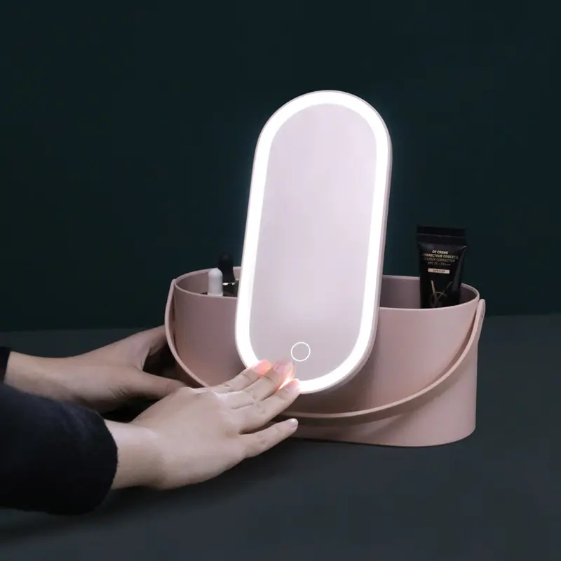 Custom Mini Makeup Bag Luxury Beauty Daily Care Vanity Mirror Bag Cosmetics Storage Portable Makeup Box bag with LED mirror
