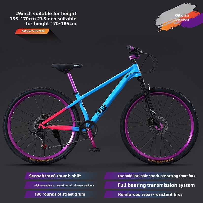 Aurora bule-Hydraulic Disc Brake