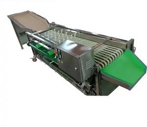 Macchina di classificazione delle dimensioni della data della prugna di alta qualità facile da usare Arabia saudita data Palm mirtillo frutta selezionatrice automatica - Product Image 2