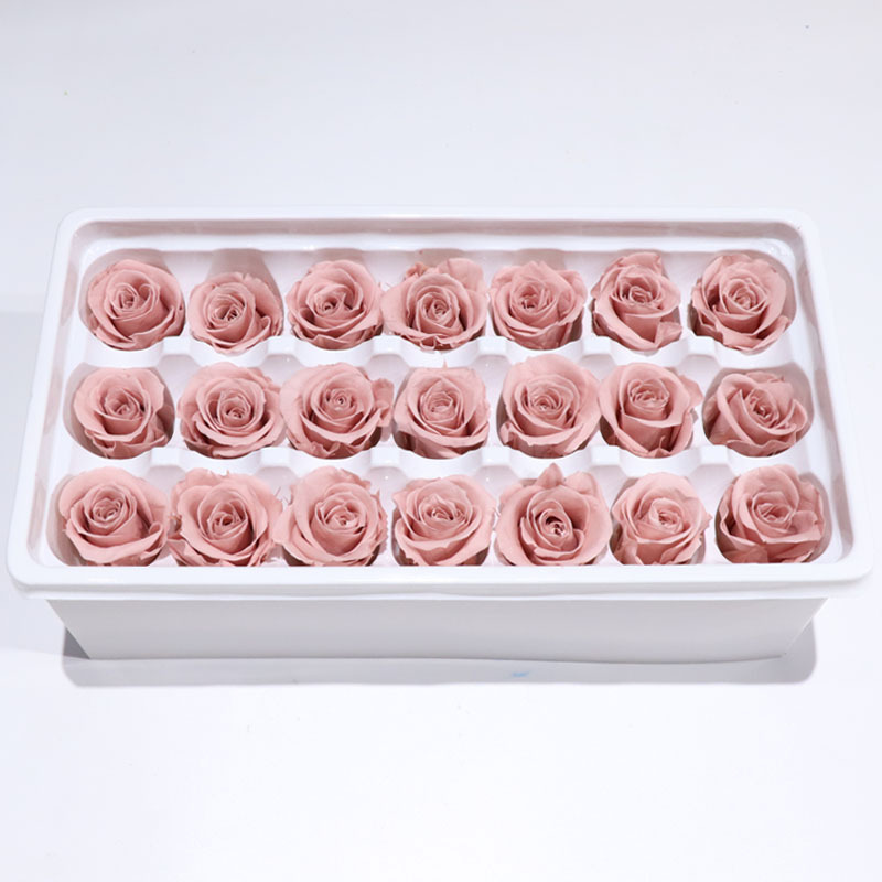 Rosa grigio