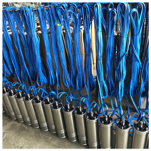DAMING เครื่องดึงปั๊มน้ำบาดาล1HP 2นิ้ว,สำหรับ Irrifation การเกษตรและน้ำสะอาด - Product Image 3