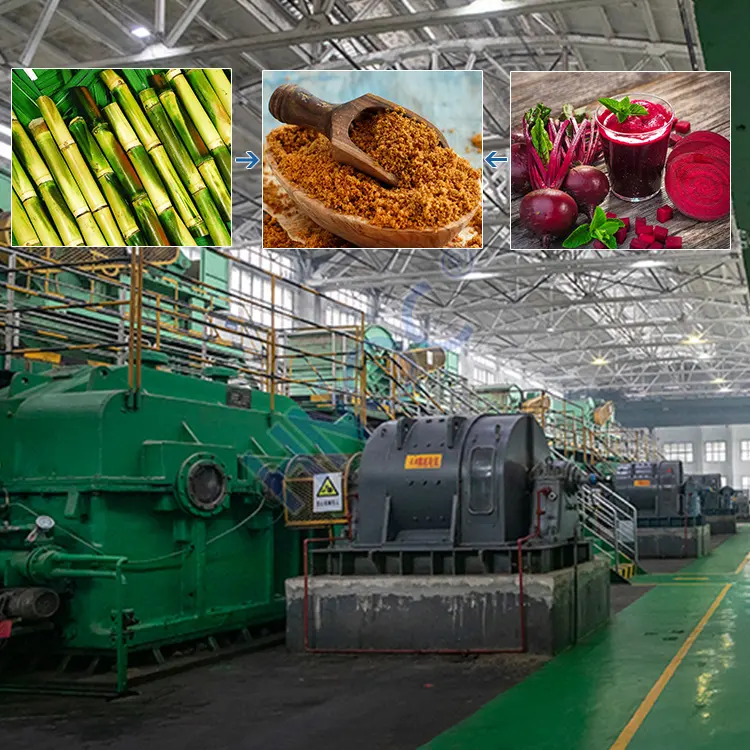 유기농 원료 설탕 지팡이 갈색 설탕 재거 생산 라인 판매 공장