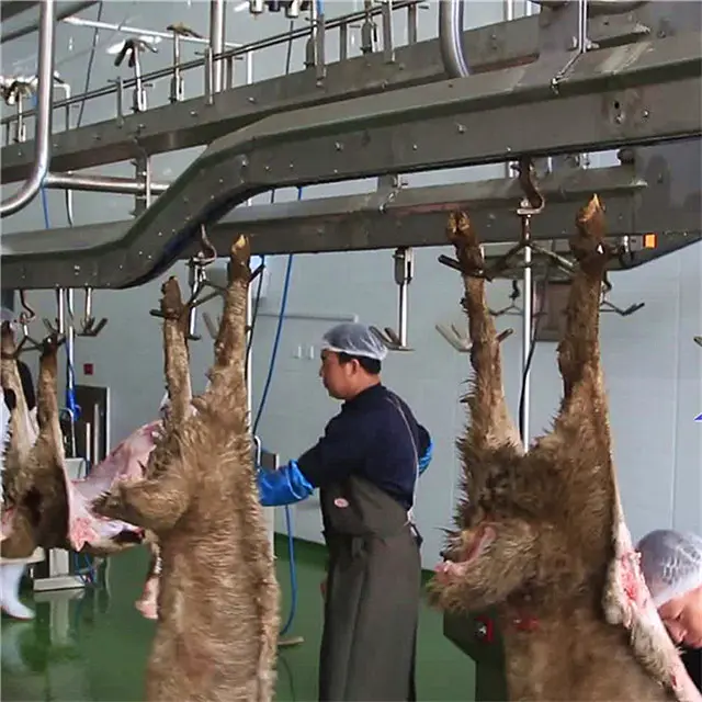 Halal Abattoir 라인 양고기 도살 장비 양 고기 가공 절단 도살 정육점