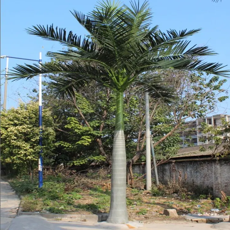 Vente en gros grand palmier de décoration extérieur à la noix de coco