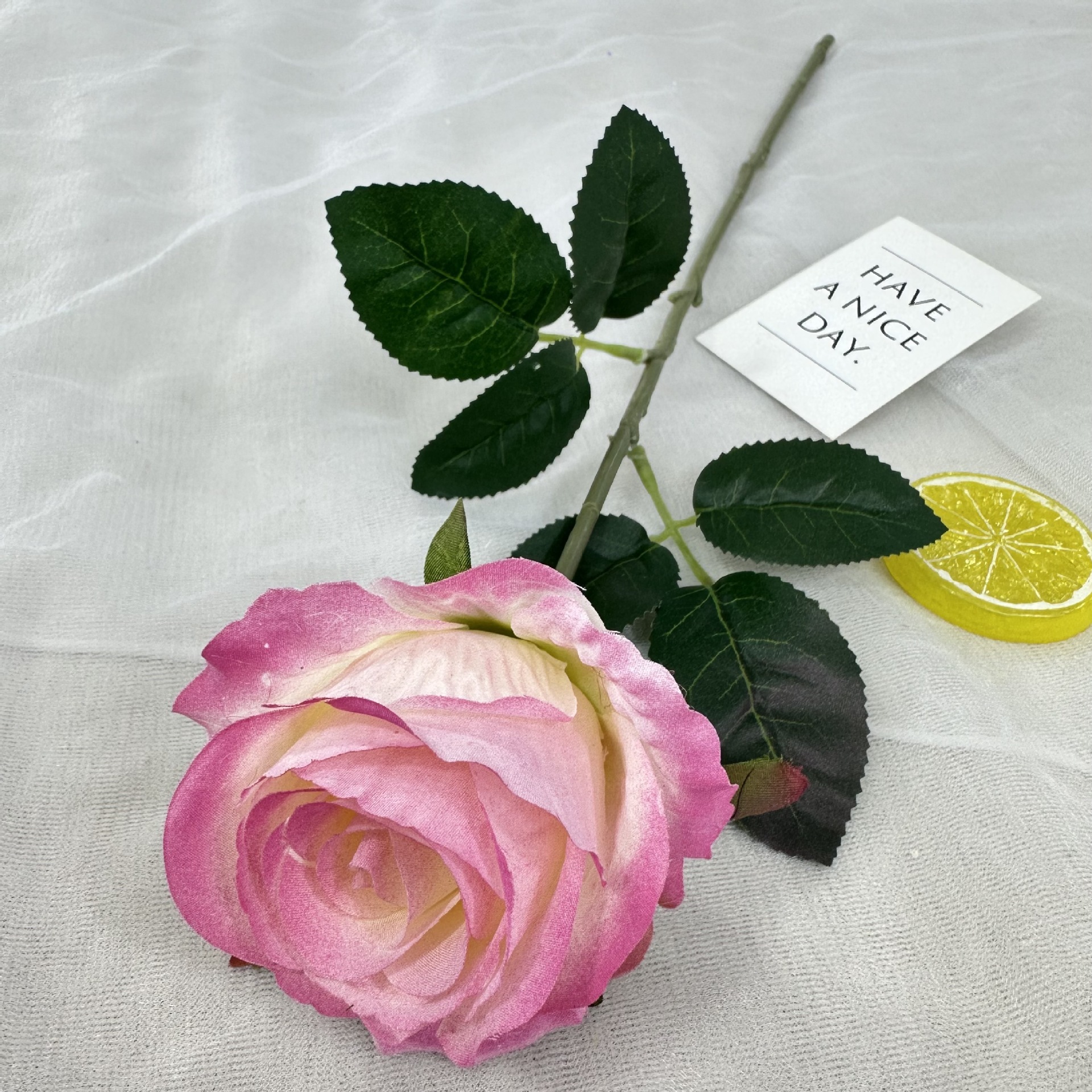 Dark pink rose red