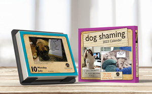 Giấy Hội Đồng Quản trị và Giá vẽ backer vui bàn hàng ngày lịch 365 ngày lịch đóng hộp lịch khẳng định với xé ra trang - Product Image 4